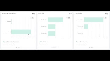 Workday Reporting : 5 Reports and a Dashboard every Workday HCM implementation should start with!