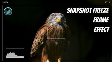 Creating SNAPSHOT photo freeze frame effect in Filmora Tutorial 2021