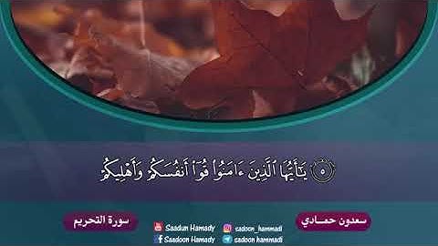 اجمل تلاوة عطرة للقارئ العراقي سعدون حمادي