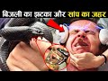 सांप का ज़हर में बिजली के झटके से क्या होता है ? SNAKE VENOM AND ELECTRIC SHOCK ?