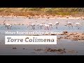 SALINE DI MONACI - TORRE COLIMENA - PUGLIA 2018