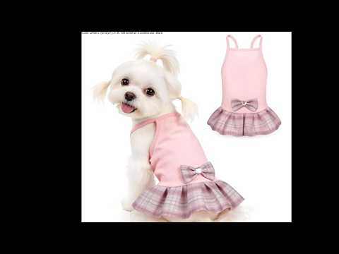 YUDODO Pet Dog Dress for - Worth It?