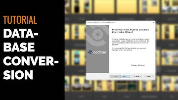 Data Base Conversion (2025 to 2026)