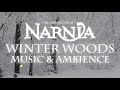 Chronicles Of Narnia Winter Woods Music Ambience Relaxing Music With Sounds Of Winter Chronicles Of Narnia Winter Woods Music Ambience Relaxing Music With Sounds Of Winter