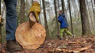 Bushcraft bench from a log, bucking and splitting boards with the Gransfors Scandinavian Forest Axe