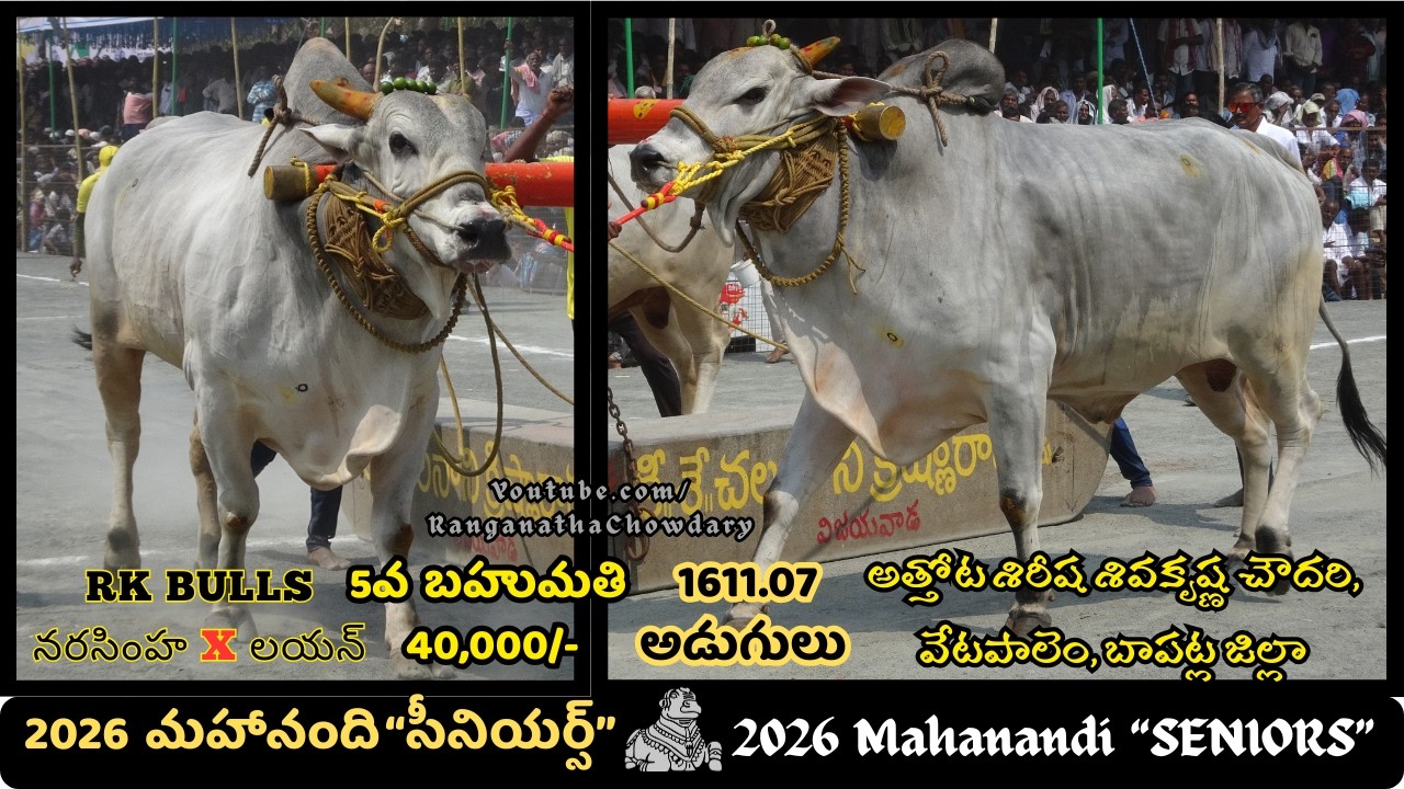 2026 #mahanandi SENIORS #ongolebullsshow 5th Prize RS.40,000/- Won By RKBULLS,Vetapalem