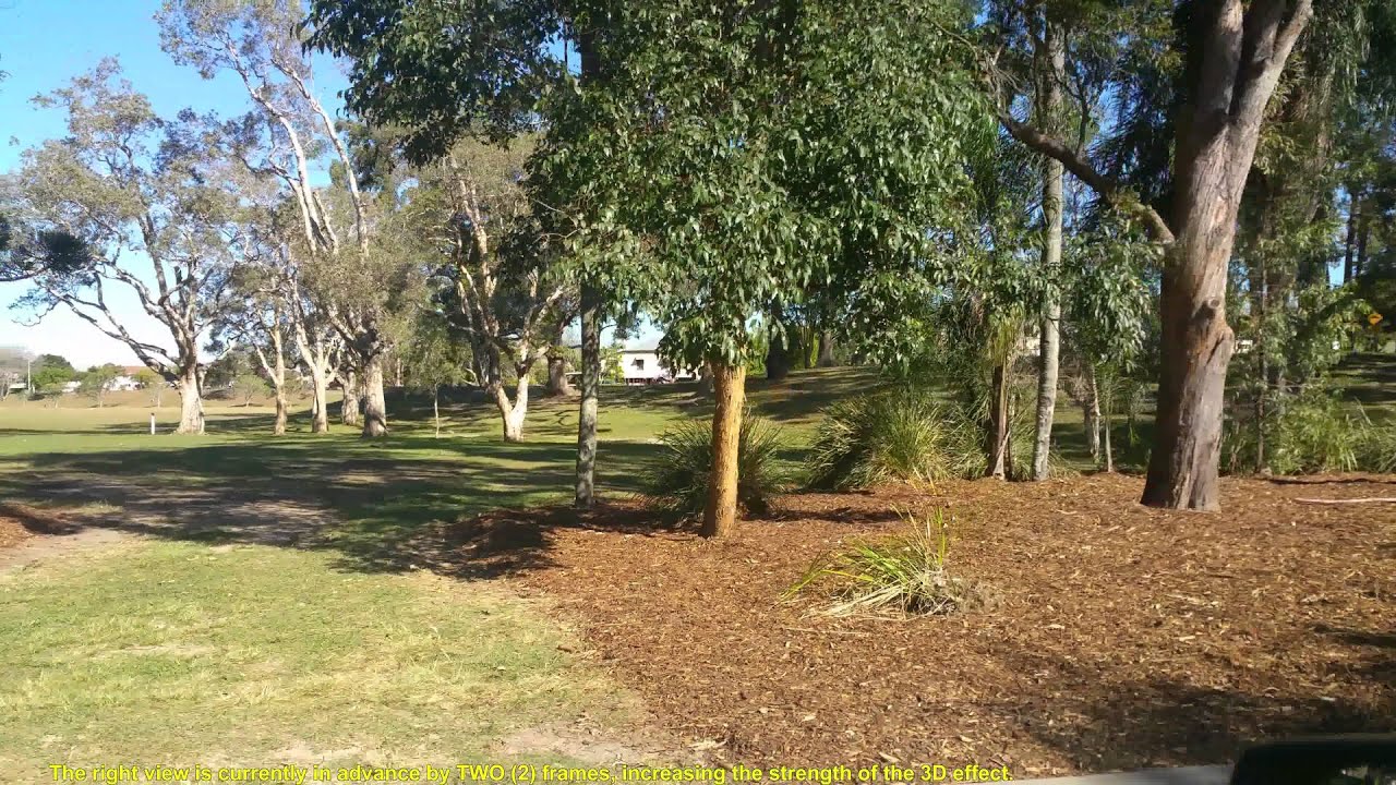 A 3D ULTRA HIGH DEFINITION CAR RIDE IN KALINGA PARK (Left view only