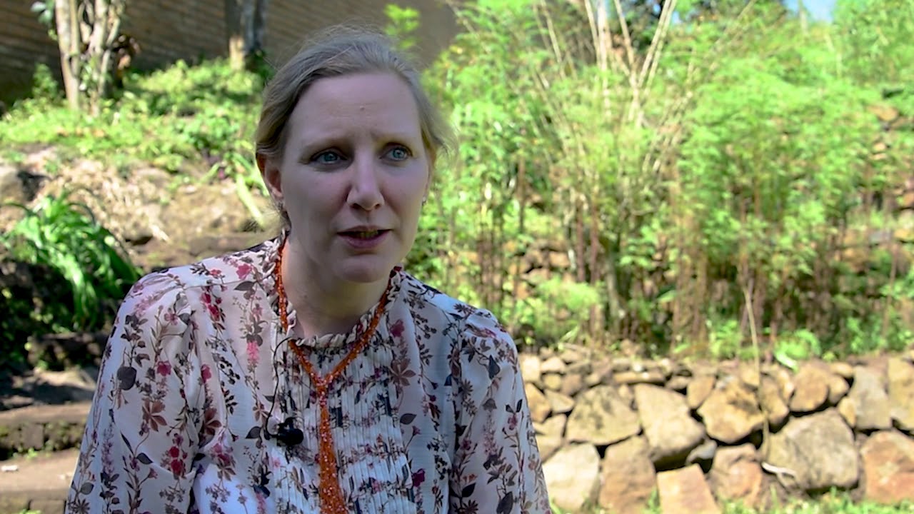 Food Forests: Sustainable Community Development