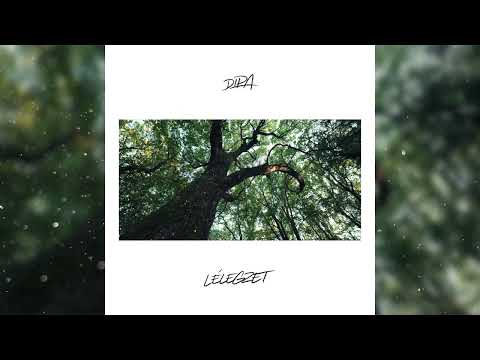Dipa - Végtelen
