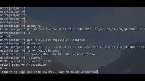 Demo of CVE-2020-25221