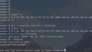 Demo of CVE-2020-25221