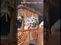 Jagannath rath yatra