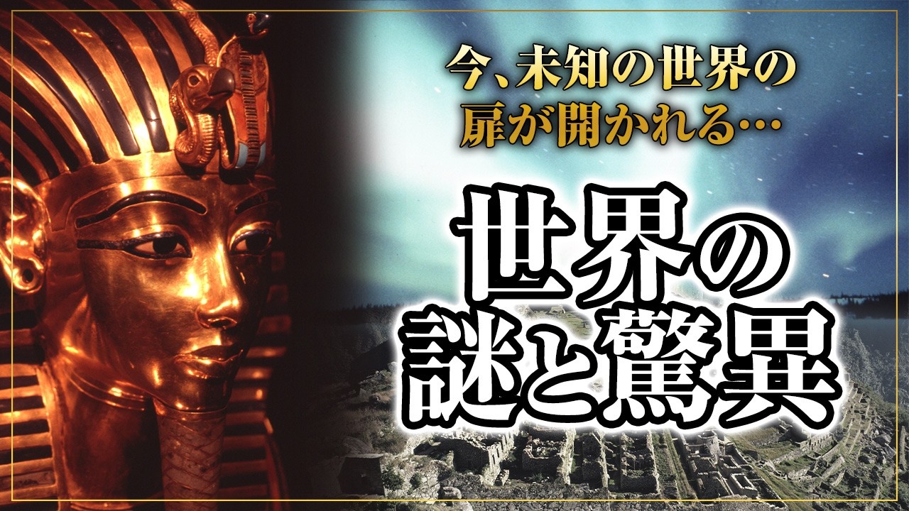 k*様 大世界史 DVD 全8巻 BBC ユーキャン　ガイド付き k*様 大世界史 DVD 全8巻 BBC ユーキャン ガイド付き BBC 大
