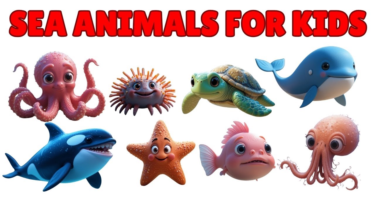 Learn Sea Animals Names | Vocabulary For Kids | Kids Learning