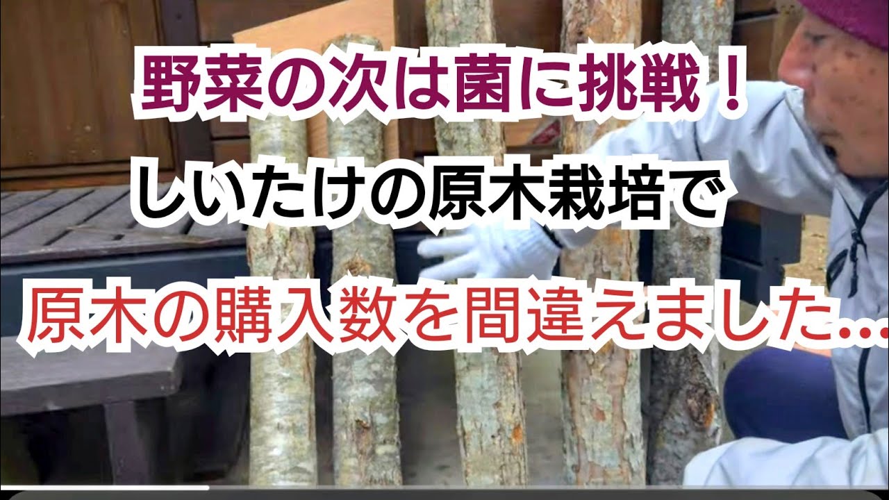 @森産業さんの椎茸栽培に挑戦！いきなり原木の購入数間違えました😂