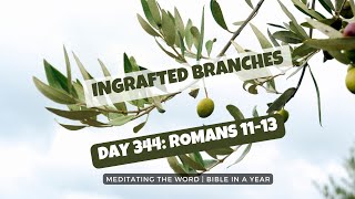 Day 344: Romans 11-13