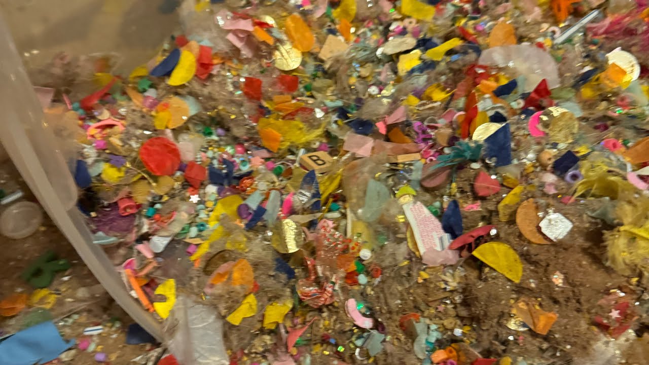 🌈 OG MIX 🧬 3 VACS / PILESTEPPING/ HARD CRUNCH/ SHARK CLEANUP 🧼