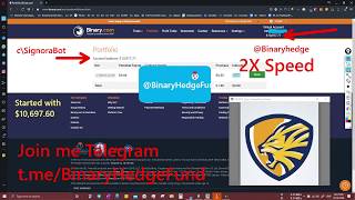 Testing 2 Binary.com Algo Trading | Signora bot | Binary Hedge Fund