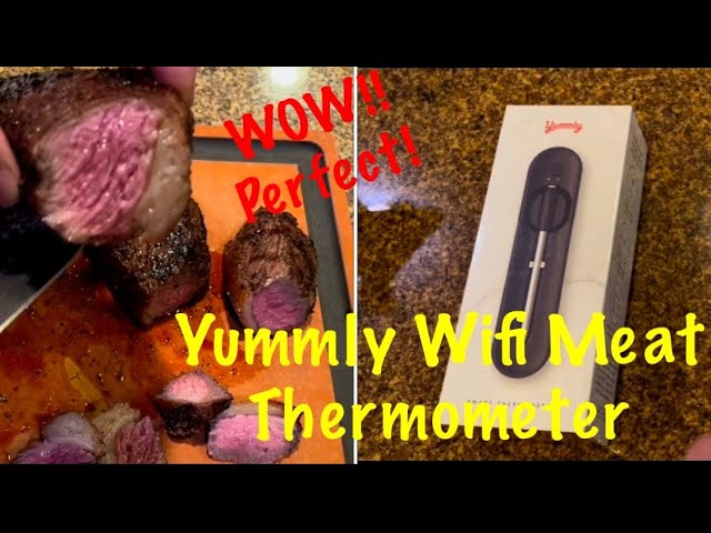 Yummly Digital Smart Thermometer Instructions Video