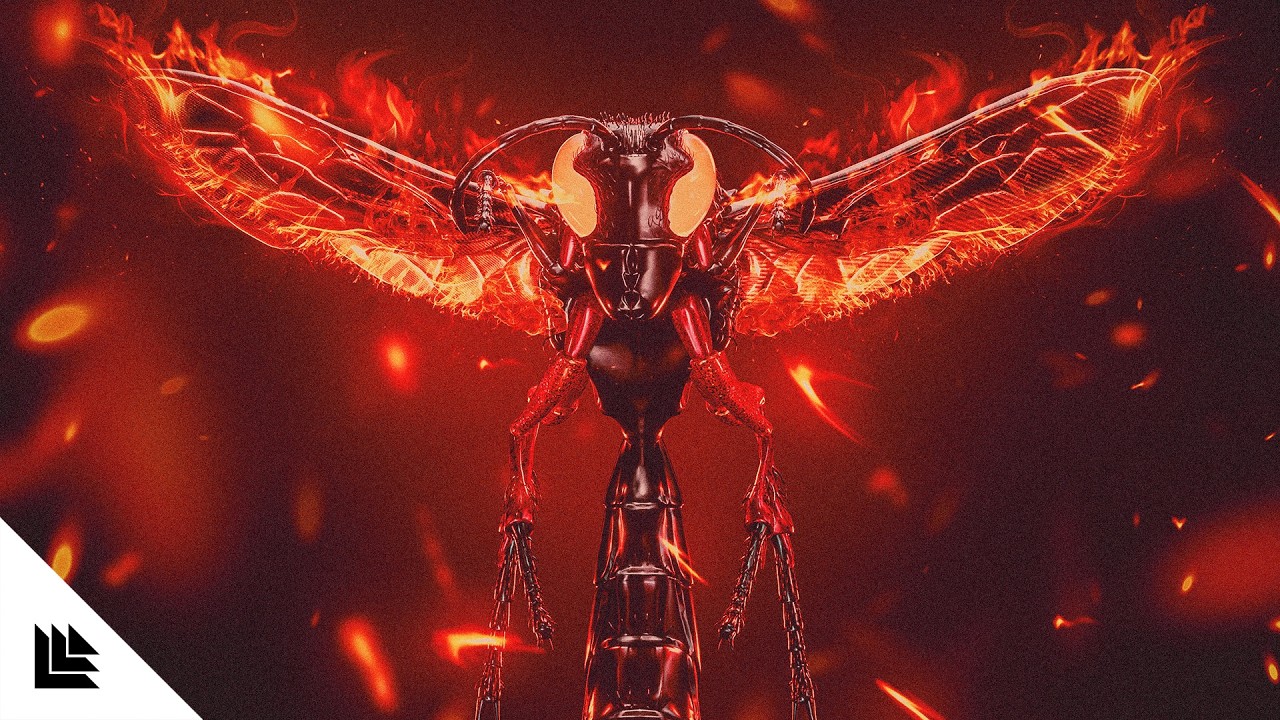 Watch Dirty Signal - Pyro Wasp on YouTube Watch Dirty Signal - Pyro Wasp on YouTube
