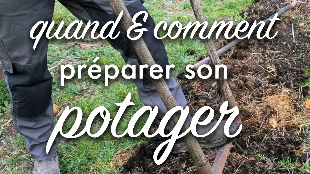 Quand et comment préparer son potager ?