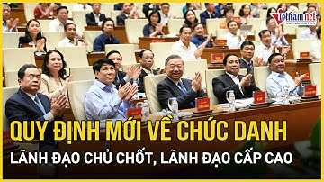 Quy định mới của Bộ Chính trị về chức danh lãnh đạo chủ chốt, lãnh đạo cấp cao | Báo VietNamNet