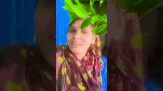 या सहीदे करबला