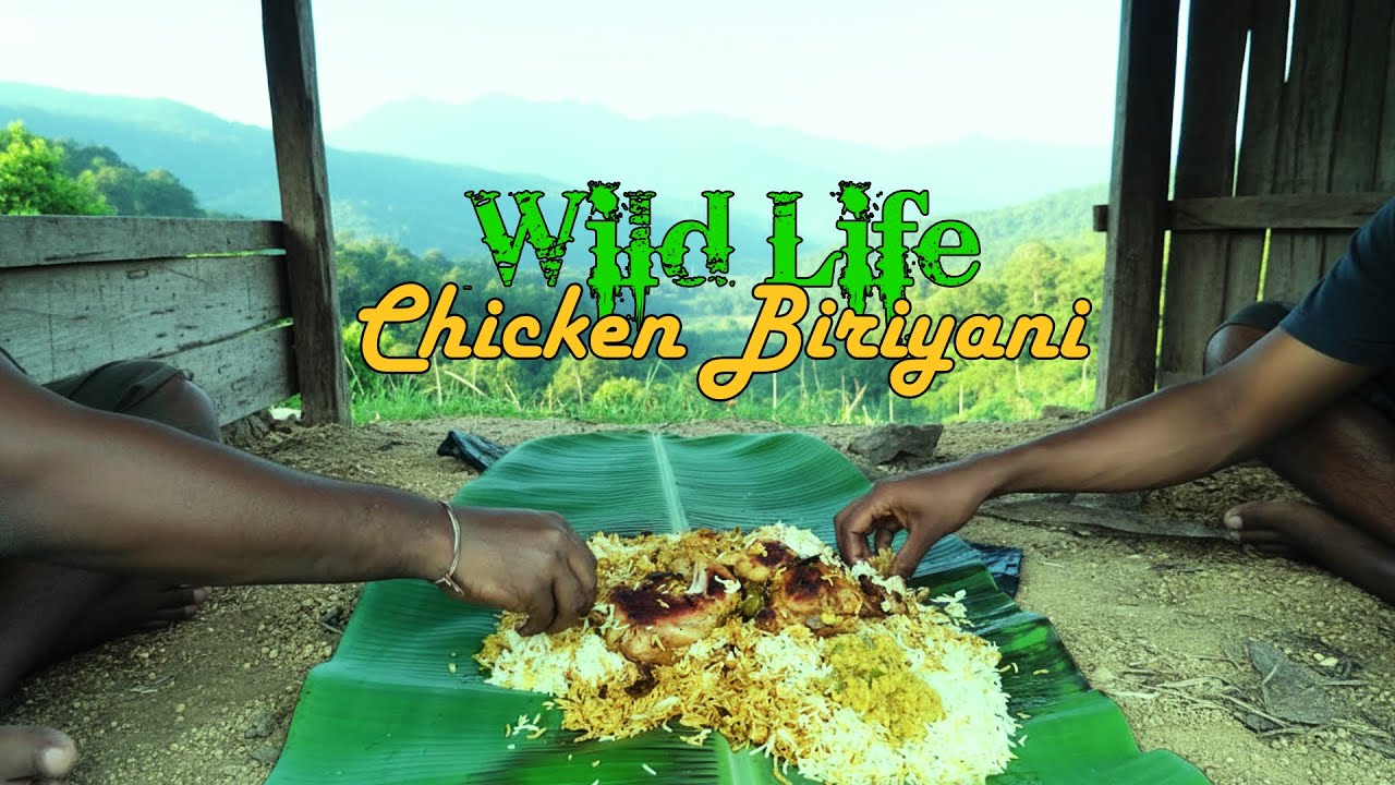 Chicken Biryani| Forest Biryani Recipe |Survival cooking in a Shelter| Asian Wild Harvest