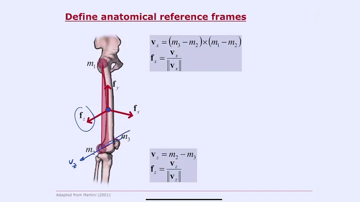 Biomechanics of Movement | Lecture 7.4: Inverse Kinematics: From Marker Locations to Joint Angles