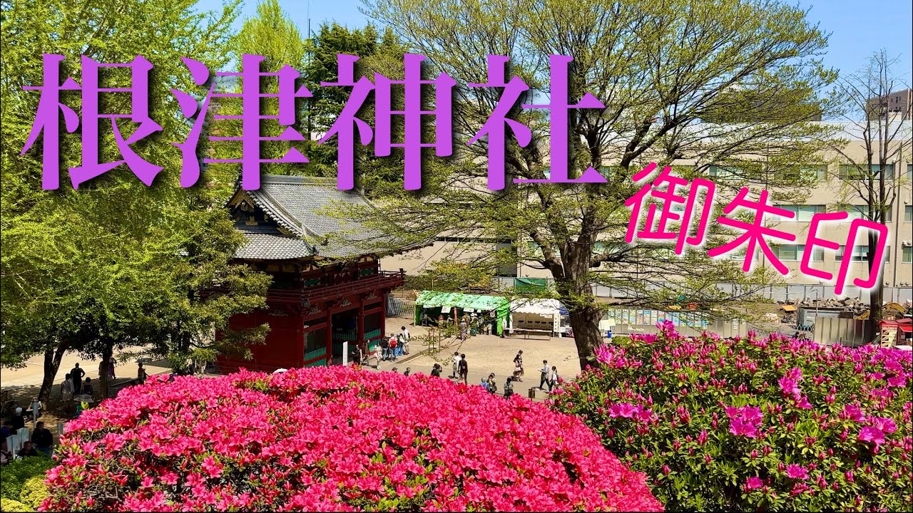 【つつじまつり】根津神社に行って御朱印をいただく！