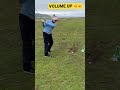 Spot the sheep #golf #shorts