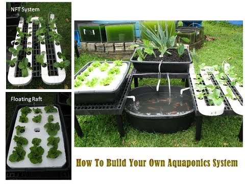 How To Build Your Own Aquaponics System - Aquaponics ...