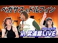 【ペガサス&ドルフィン】武道館スペシャルLIVE　ゲスト:かずき