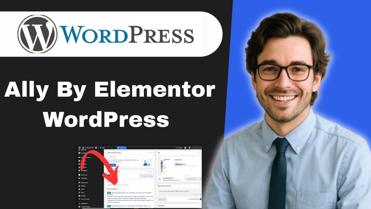 Ally by Elementor WordPress accessibility plugin (full guide) - YouTube