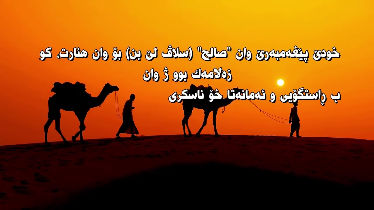 صالح سڵاڤ لێبن — و حێشترا خودێ یا موعجیزە