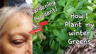 How I plant my winter Greens / Gardening Accident