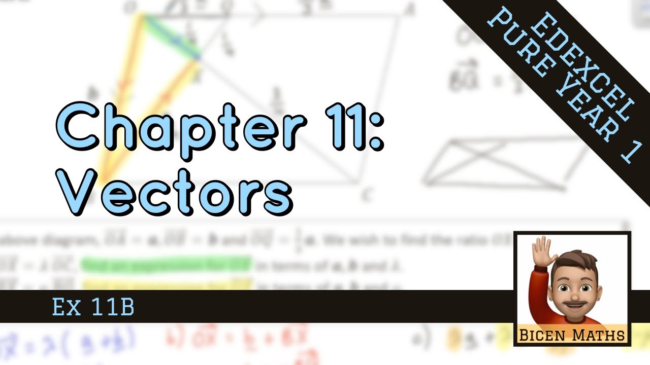 Vectors 2 • Representing Vectors, Parallel Problems • P1 Ex11B • 🤖