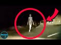 The Ultimate "Crazy Things Caught On Camera" Compilation