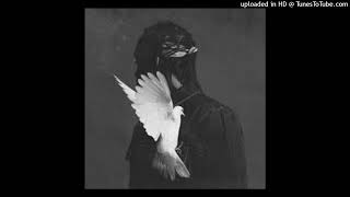 Watch Pusha T Got em Covered video