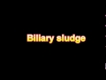 What Is The Definition Of Biliary sludge Medical Dictionary Free Online