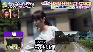 与田祐希 よだっちょの地元をgmで巡ってみた 与田祐希 よだっちょの地元をgmで巡ってみた