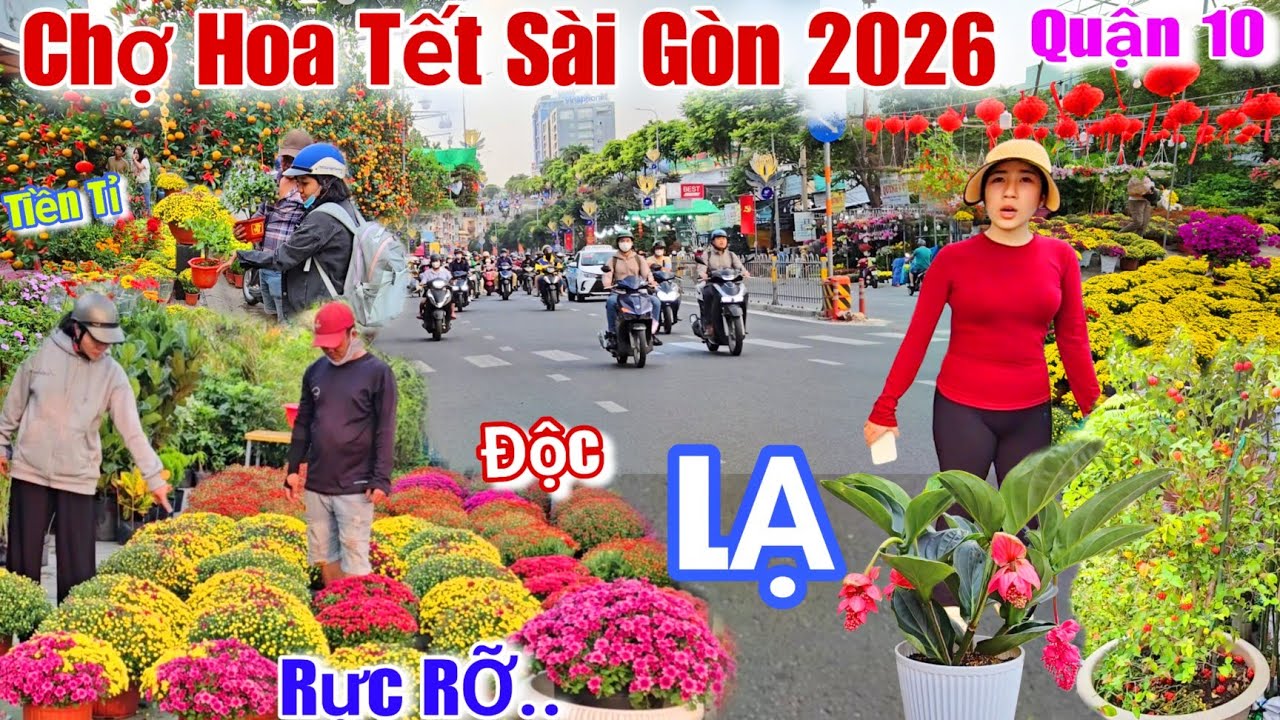 Chợ Hoa Tết sài gòn 2026 Rực RỠ..Quận 10 xuất hiện kiểng Độc Lạ tiền tỉ đón xuân