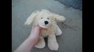 Webkinz stunt outside!:D