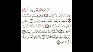 سورة الدخان 2 القسم الثاني تكرار كيفي من .. لا إله إلا هو يحي ويميت .. إلى .. إنكم عائدون