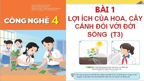CÔNG NGHỆ 4: BÀI 1: LỢI ÍCH CỦA HOA CÂY CẢNH ĐỐI VỚI ĐỜI SỐNG (T3)