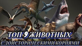 Топ 9 Животных С Доисторическими Корнями