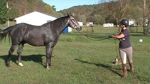 Module 3 Video Final