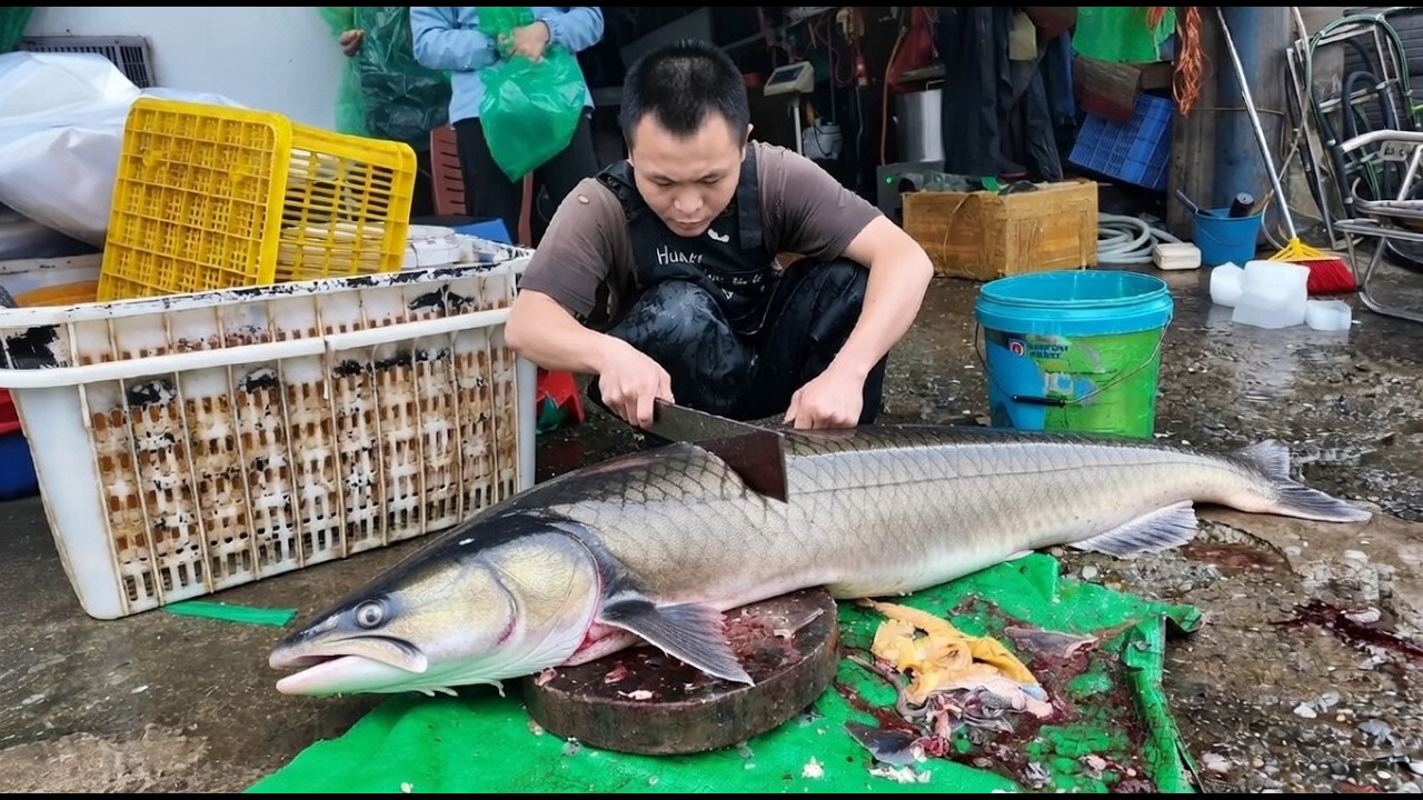Amazing Cutting Skills; Big Sturgeon Fish Cleaning & Cutting By Expert Fish Cutter