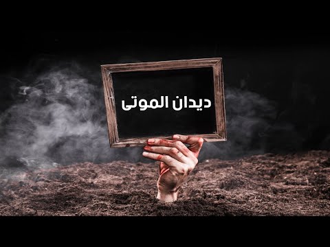 فيديو: ما هي يرقات القميص؟