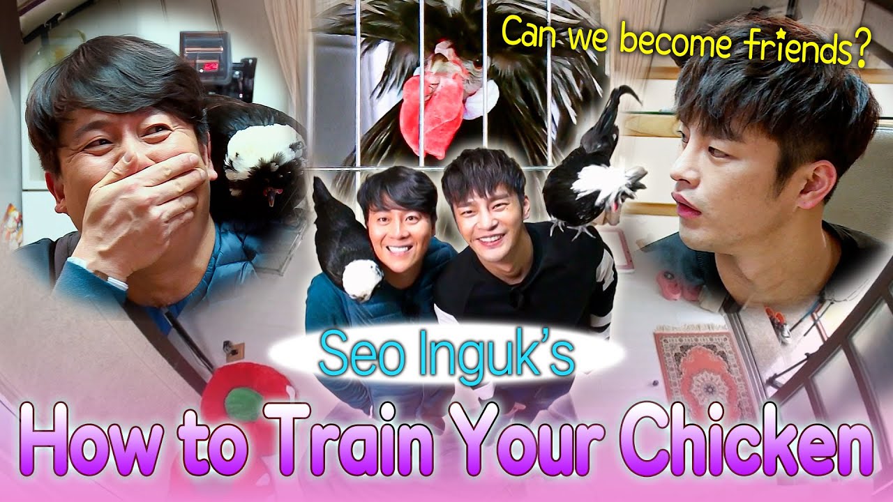 When Seo Inguk ソイングク first met a chicken 🐔🐔